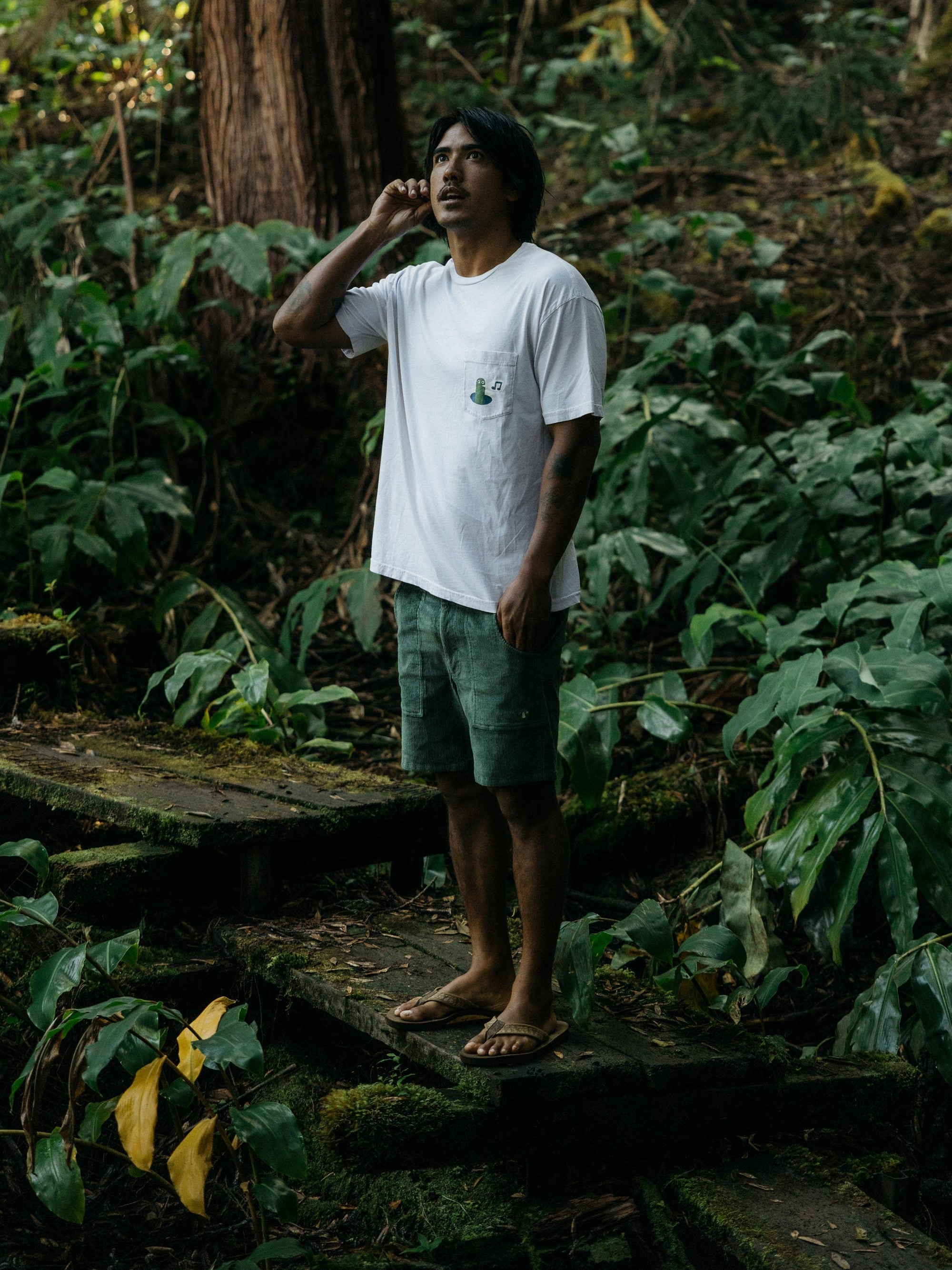 Shroom Shorts: Rover Green