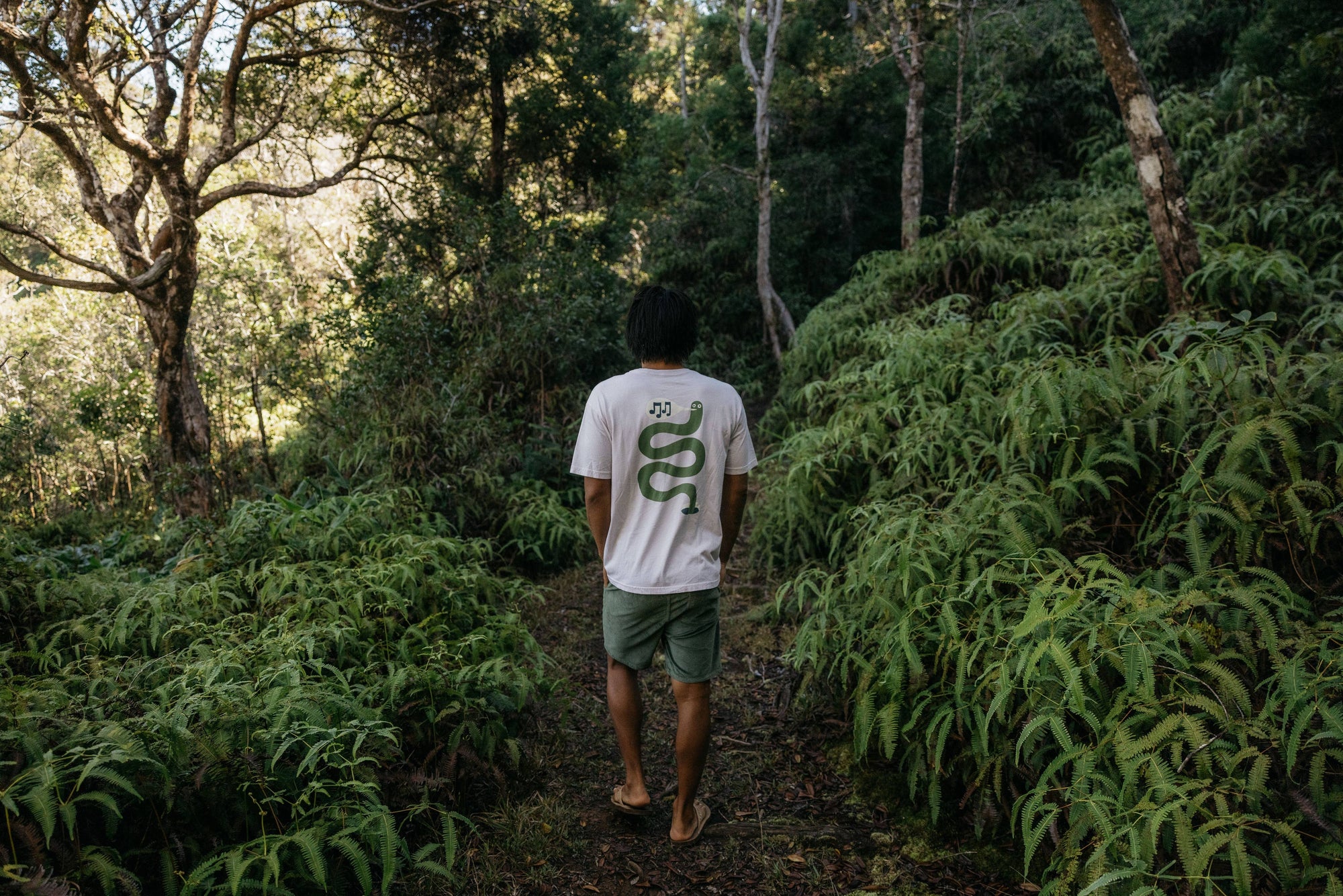 Shroom Shorts: Rover Green