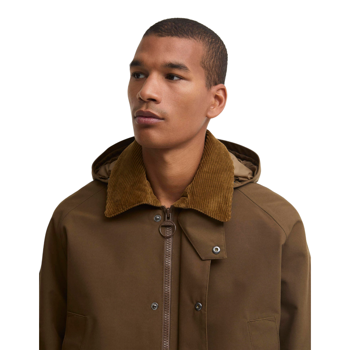 MILWORKS Barbour Winter Ashby waterproof jacket in dark sand with a corduroy collar and detachable hood on a model