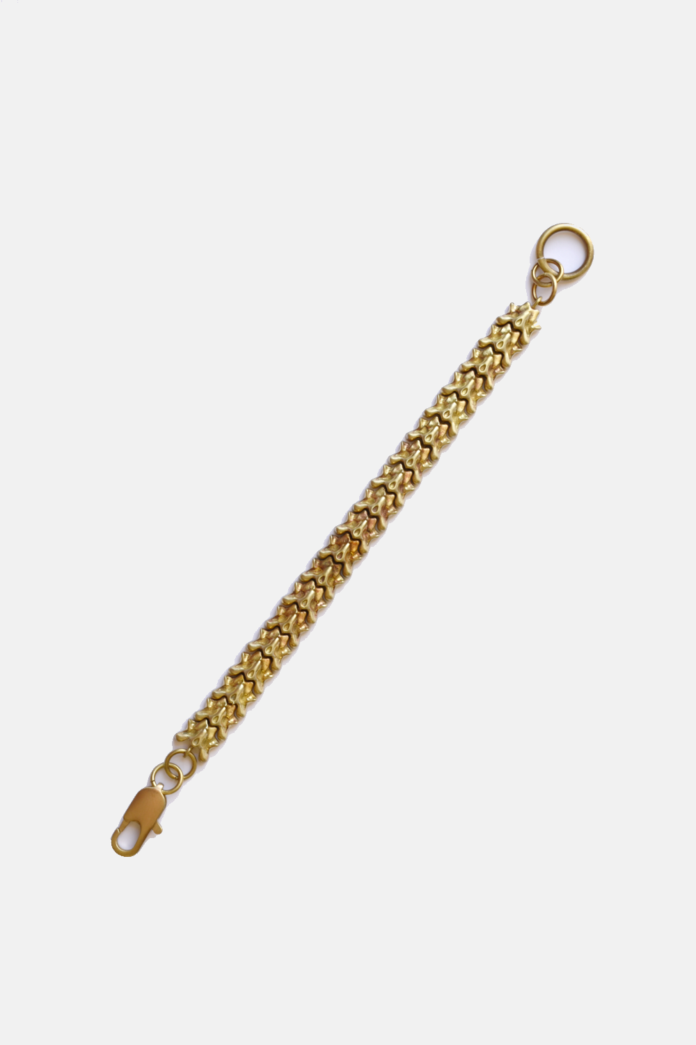 Curated Basics - Vertebrate Chain Bracelet: Brass